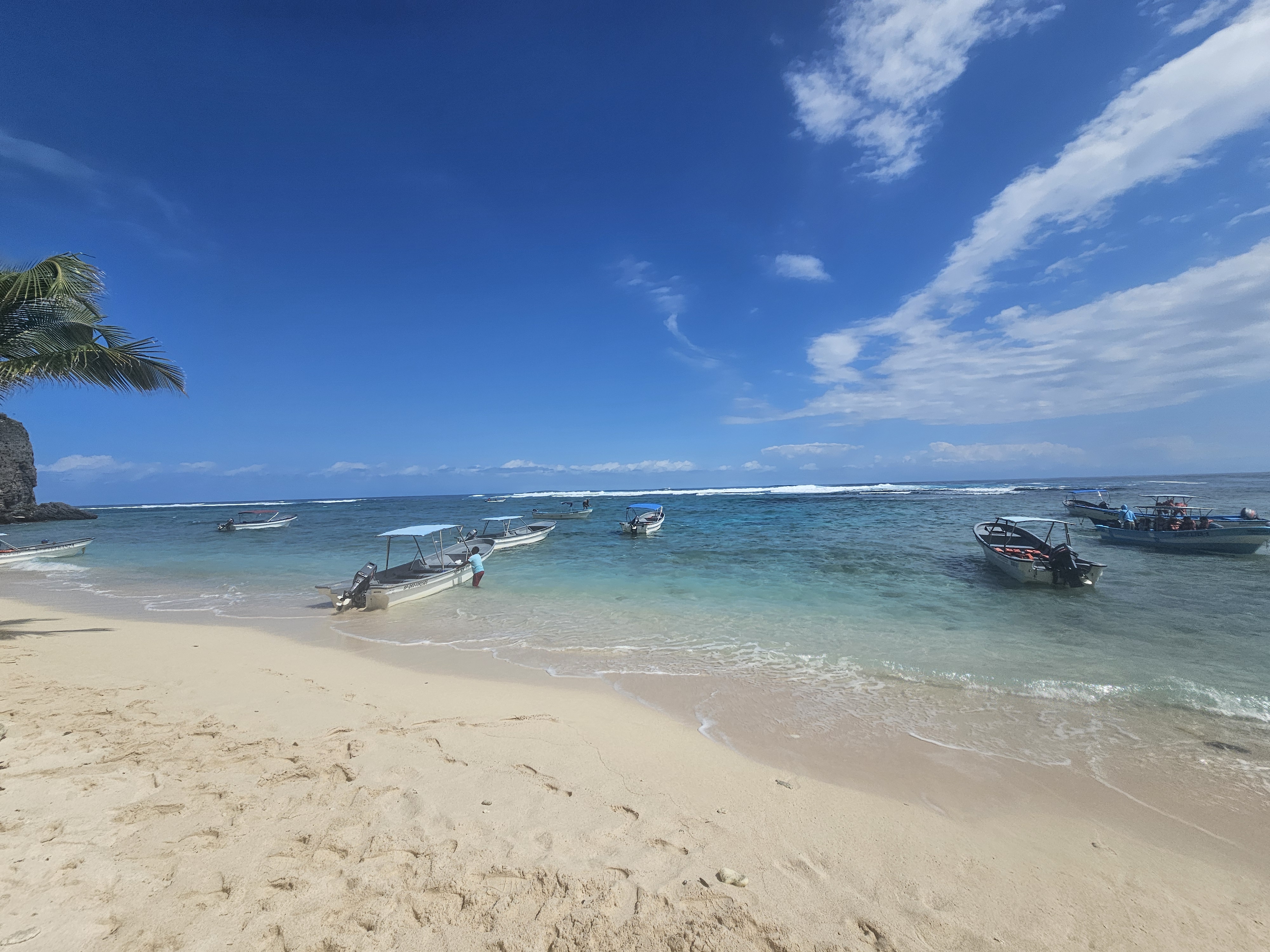 Lush tropical landscape of the Samaná Peninsula
