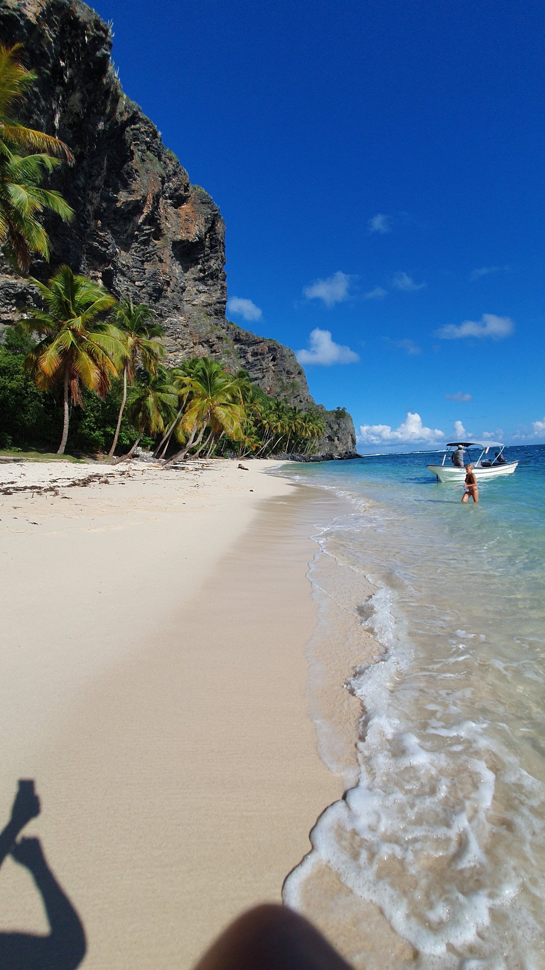 Pristine white sand beach surrounded by lush tropical vegetation